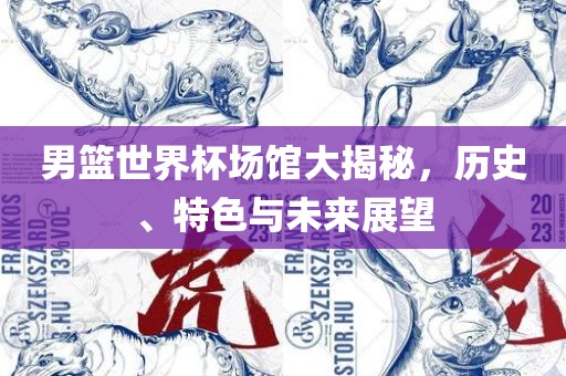 男篮世界杯场馆大揭秘，历史、特色与未来展望
