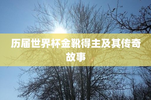 历届世界杯金靴得主及其传奇故事