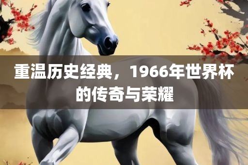 重温历史经典，1966年世界杯的传奇与荣耀