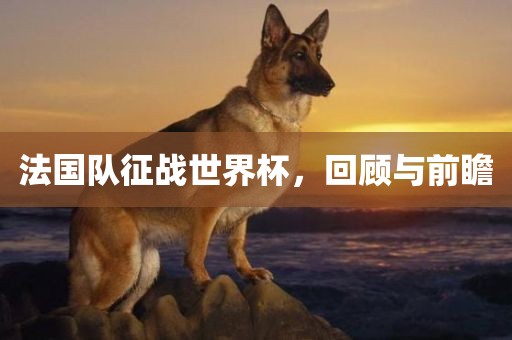 法国队征战世界杯，回顾与前瞻