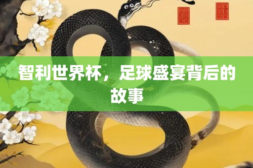 智利世界杯，足球盛宴背后的故事