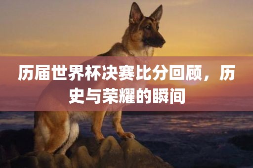 历届世界杯决赛比分回顾，历史与荣耀的瞬间