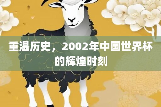 重温历史，2002年中国世界杯的辉煌时刻