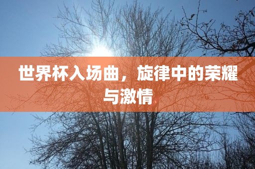 世界杯入场曲，旋律中的荣耀与激情