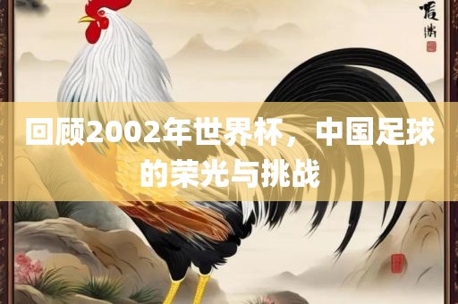 回顾2002年世界杯，中国足球的荣光与挑战