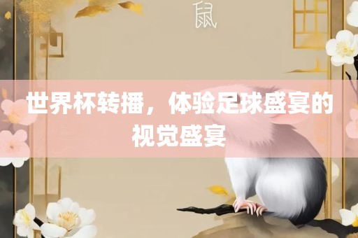 世界杯转播，体验足球盛宴的视觉盛宴
