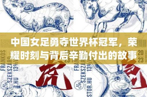 中国女足勇夺世界杯冠军，荣耀时刻与背后辛勤付出的故事