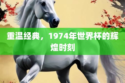 重温经典，1974年世界杯的辉煌时刻