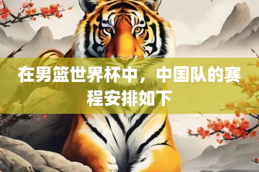 在男篮世界杯中，中国队的赛程安排如下