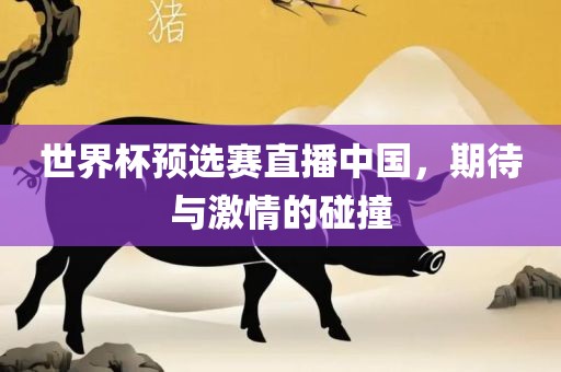 世界杯预选赛直播中国，期待与激情的碰撞