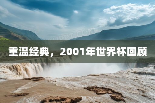 重温经典，2001年世界杯回顾