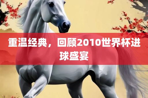 重温经典，回顾2010世界杯进球盛宴