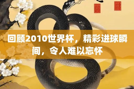 回顾2010世界杯，精彩进球瞬间，令人难以忘怀