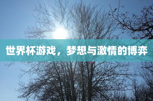 世界杯游戏，梦想与激情的博弈