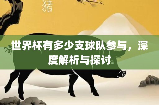 世界杯有多少支球队参与，深度解析与探讨