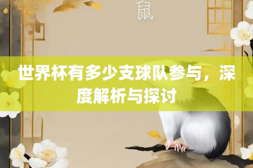 世界杯有多少支球队参与，深度解析与探讨