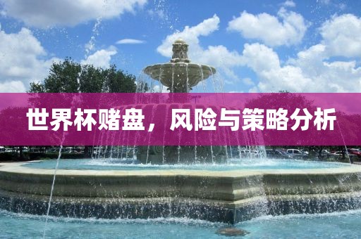 世界杯赌盘，风险与策略分析
