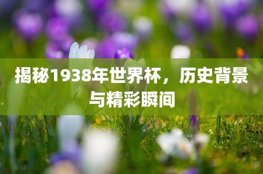 揭秘1938年世界杯，历史背景与精彩瞬间