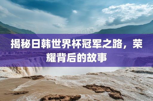 揭秘日韩世界杯冠军之路，荣耀背后的故事