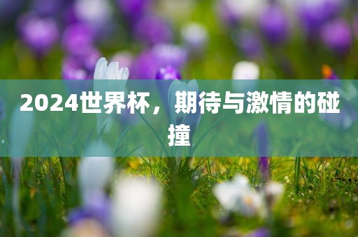 2024世界杯，期待与激情的碰撞