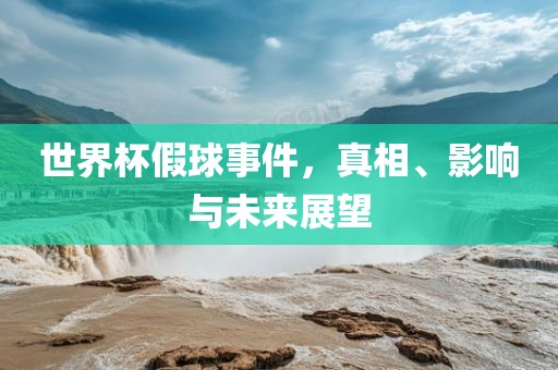 世界杯假球事件，真相、影响与未来展望