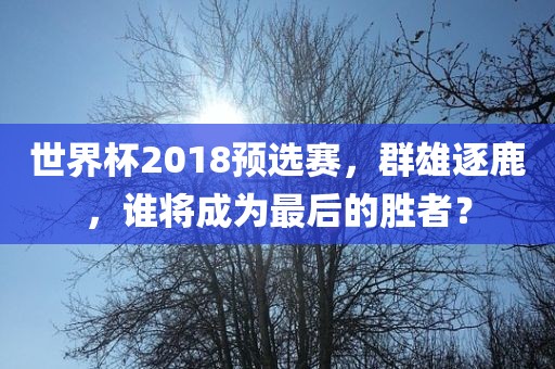 世界杯2018预选赛，群雄逐鹿，谁将成为最后的胜者？