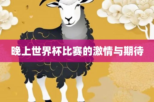 晚上世界杯比赛的激情与期待