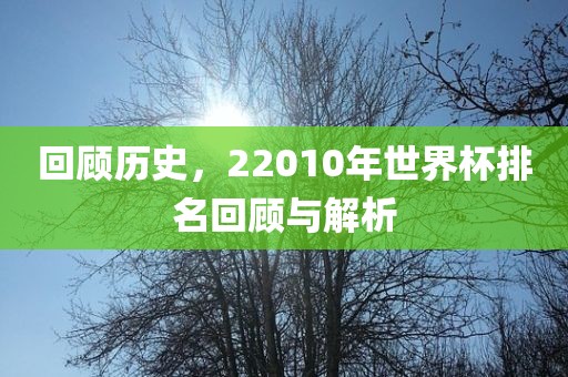 回顾历史，22010年世界杯排名回顾与解析