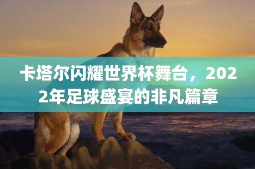 卡塔尔闪耀世界杯舞台，2022年足球盛宴的非凡篇章
