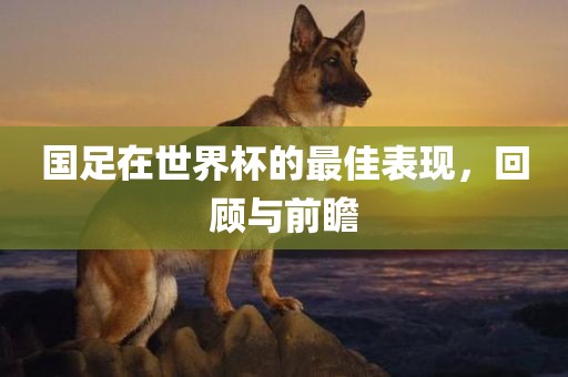 国足在世界杯的最佳表现，回顾与前瞻