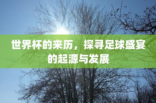 世界杯的来历，探寻足球盛宴的起源与发展