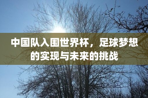 中国队入围世界杯，足球梦想的实现与未来的挑战