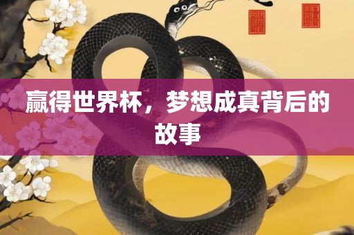 赢得世界杯，梦想成真背后的故事