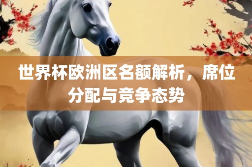 世界杯欧洲区名额解析，席位分配与竞争态势