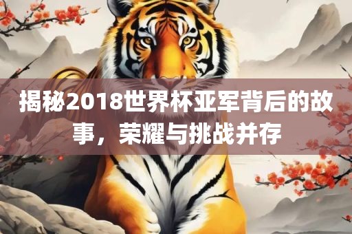 揭秘2018世界杯亚军背后的故事，荣耀与挑战并存