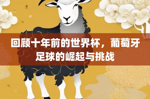 回顾十年前的世界杯，葡萄牙足球的崛起与挑战