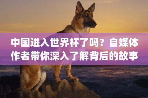 中国进入世界杯了吗？自媒体作者带你深入了解背后的故事