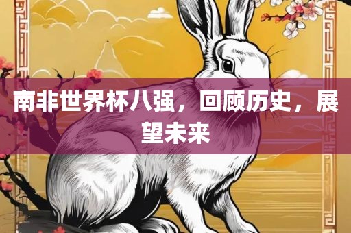 南非世界杯八强，回顾历史，展望未来