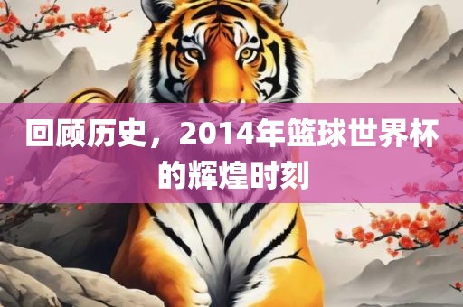 回顾历史，2014年篮球世界杯的辉煌时刻