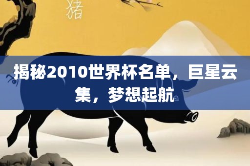揭秘2010世界杯名单，巨星云集，梦想起航