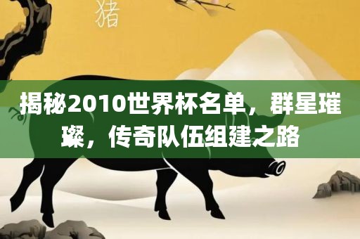 揭秘2010世界杯名单，群星璀璨，传奇队伍组建之路