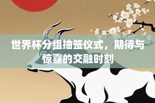 世界杯分组抽签仪式，期待与惊喜的交融时刻