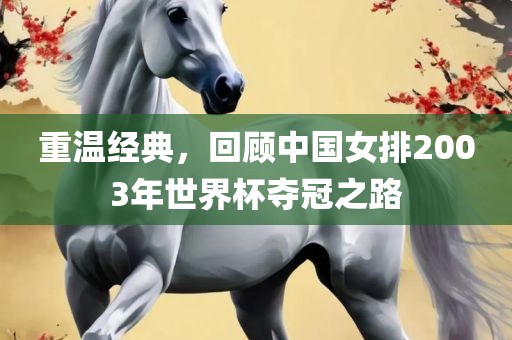 重温经典，回顾中国女排2003年世界杯夺冠之路