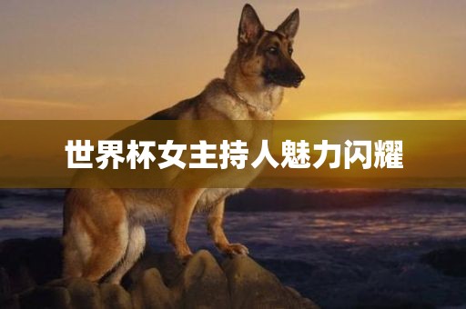 世界杯女主持人魅力闪耀