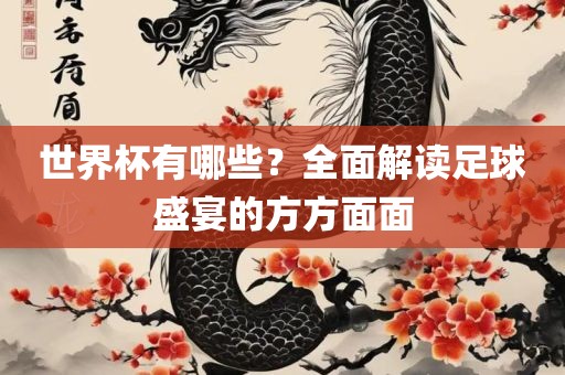 世界杯有哪些？全面解读足球盛宴的方方面面