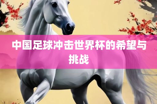中国足球冲击世界杯的希望与挑战