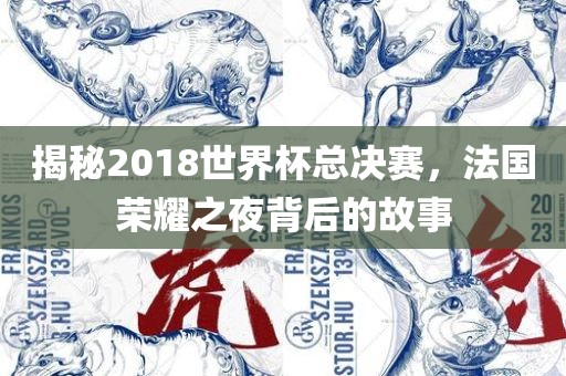 揭秘2018世界杯总决赛，法国荣耀之夜背后的故事