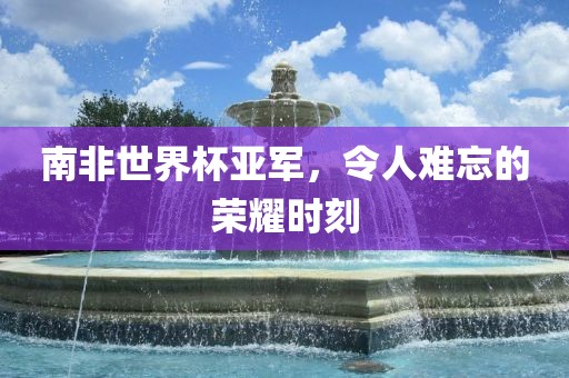南非世界杯亚军，令人难忘的荣耀时刻