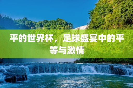 平的世界杯，足球盛宴中的平等与激情