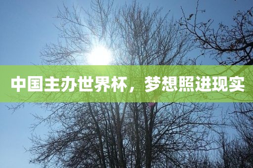中国主办世界杯，梦想照进现实